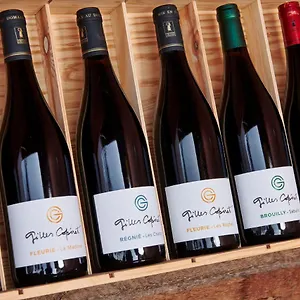 Les Glycines - Domaine Gilles Coperet Frühstückspension